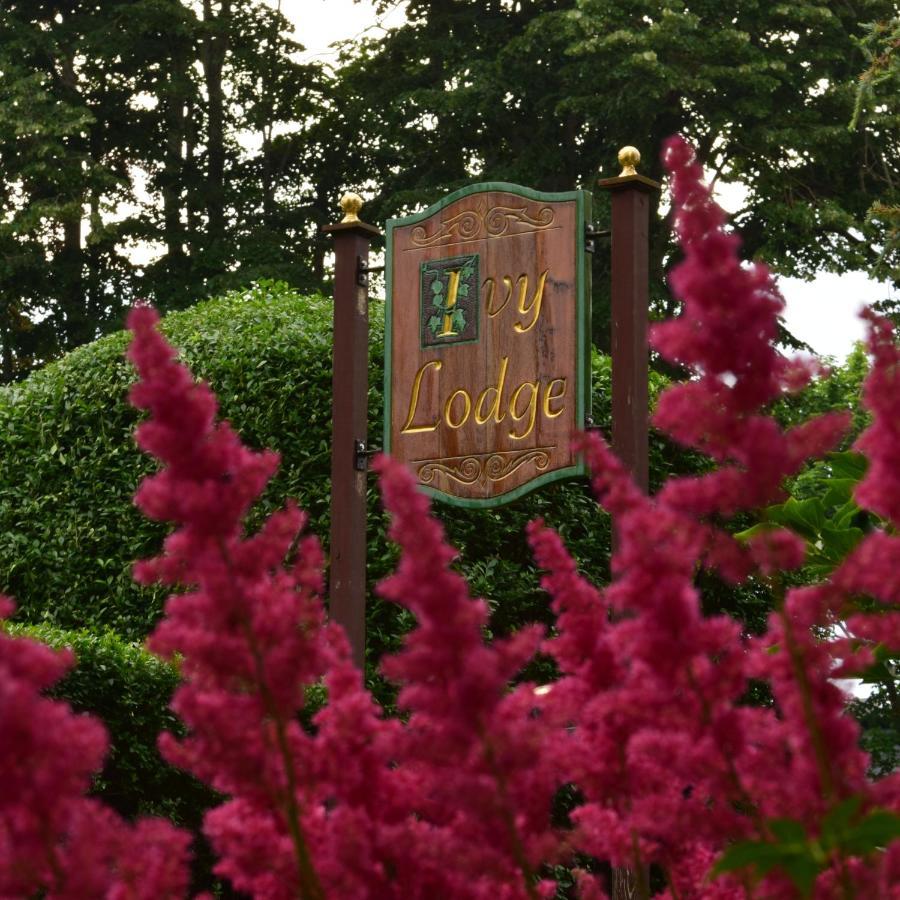 ניופורט Ivy Lodge מראה חיצוני תמונה